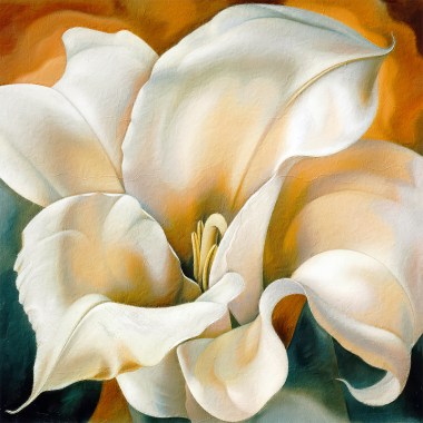 Bloem calla